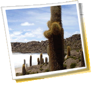 travel city panorama - Bolivia