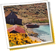 panorama de ciudad de viajes - Falkland, Islas (Islas Malvinas), tiempo,  prefijo telefónico, galería de fotos