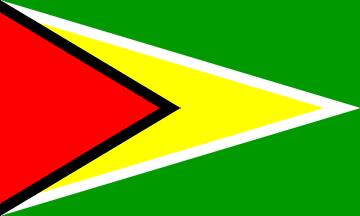 Bandera nacional, Guyana