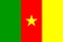 National flag, Cameroon