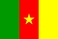 National flag, Cameroon