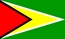 Nationella flagga, Guyana