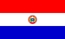 Nationella flagga, Paraguay