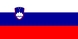 National flag, Slovenia