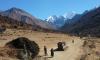 Langtang valley trek