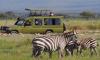 4 Days 3 Nights Masai Mara/Nairobi – Migration Safari Package