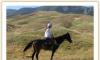 Horseback Tours